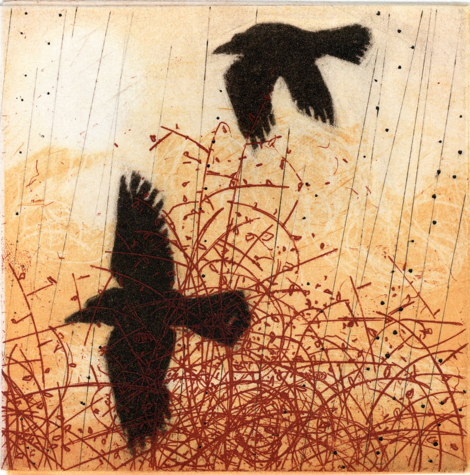 Briars and Crows etching
