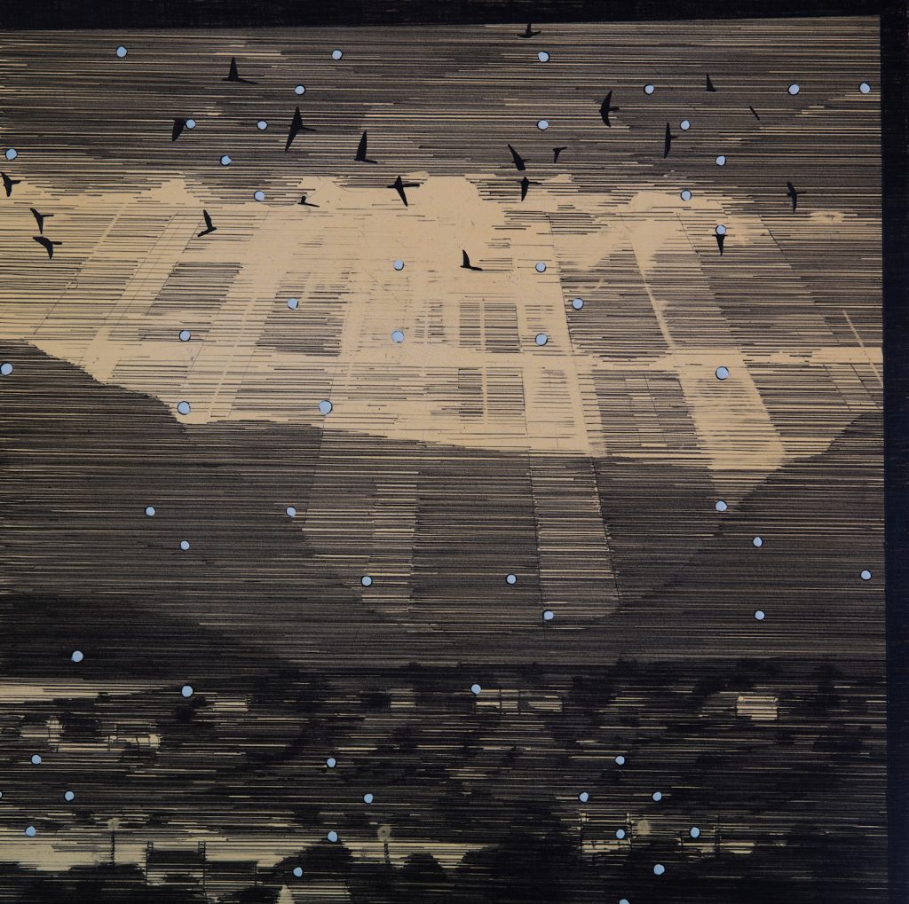 Crepuscular Rays with Starlings Graphite, etching ink and gouache on Stockwell paper Niall Naessens