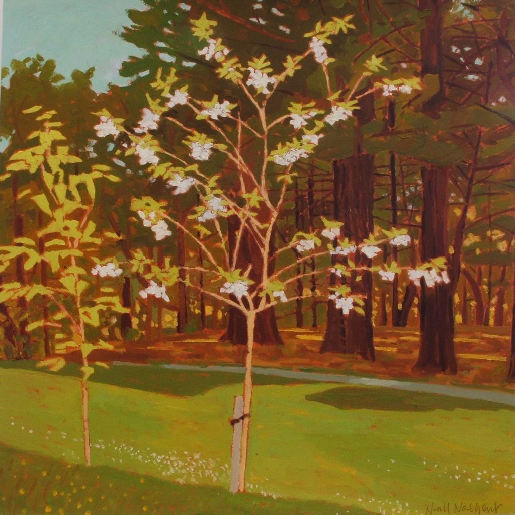 Apple Blossom 2008 Oil on Paper 50 x50 cm(Photo: Niall Naessens)