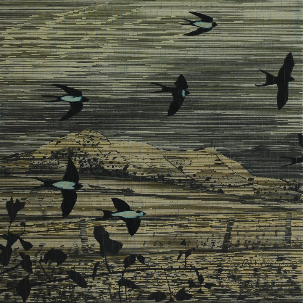 Swallows. Drawing-Monoprint.50x50cm © Niall Naessens © Niall Naessens